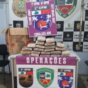 Imagem da notícia - Operação Segurança Presente: Forças de Segurança apreendem 28 tabletes de skunk em embarcações em Codajás