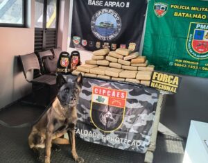 Base Arpão 2:  Forças de Segurança apreende 37 quilos de skunk escondidos em sacas de far…