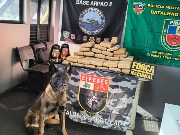 Base Arpão 2:  Forças de Segurança apreende 37 quilos de skunk escondidos em sacas de far…